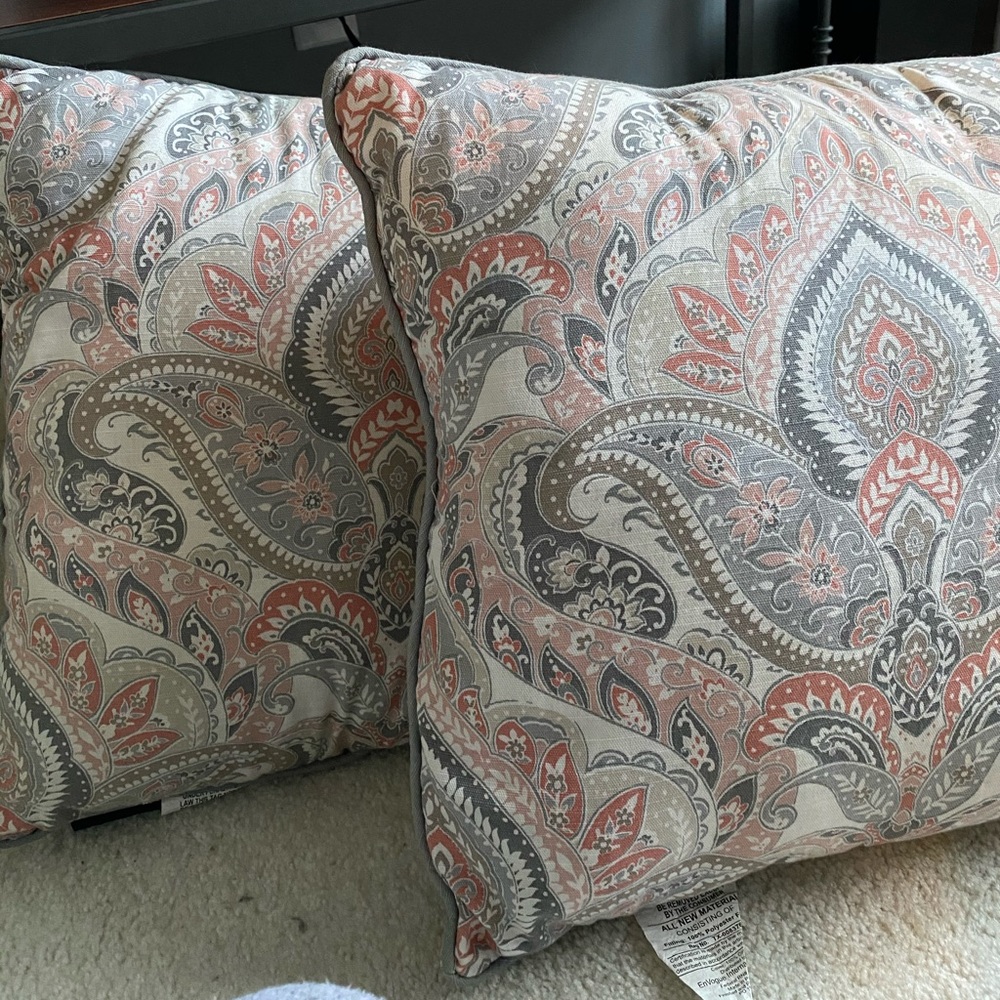 Two Decorative Pillows